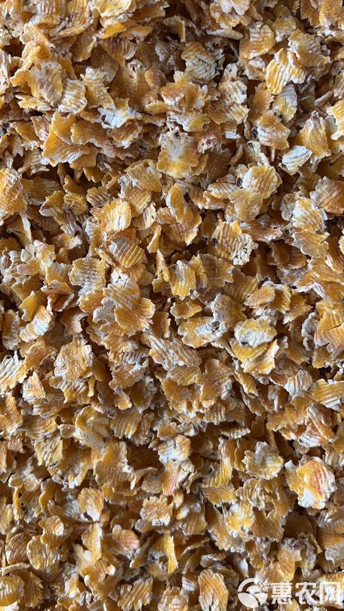 全价饲料批发市场观察 玉米压片价格波动与浓缩饲料选购指南