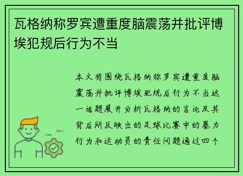 瓦格纳称罗宾遭重度脑震荡并批评博埃犯规后行为不当